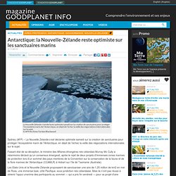 Antarctique: la Nouvelle-Zélande reste optimiste sur les sanctuaires marins