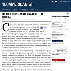 Development & impact of the Cotton Gin