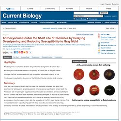 Current Biology - Anthocyanins Double the Shelf Life of Tomatoes by Delaying Overripening and Reducing Susceptibility to Gray Mold