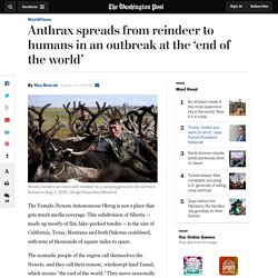 Anthrax spreads from reindeer to humans in an outbreak at the ‘end of the world’