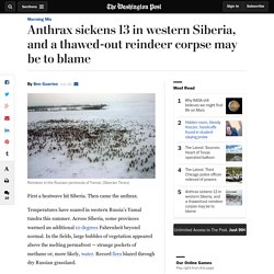Anthrax sickens 13 in western Siberia, and a thawed-out reindeer corpse may be to blame