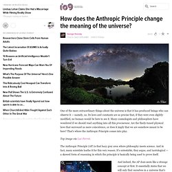 How does the Anthropic Principle change the meaning of the universe?
