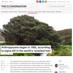 Anthropocene began in 1965, according to signs left in the world’s ‘loneliest tree’
