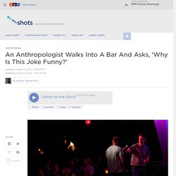 An Anthropologist Walks Into A Bar And Asks, 'Why Is This Joke Funny?' : Shots - Health Blog