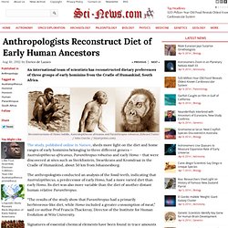 Anthropologists Reconstruct Diet of Early Human Ancestors