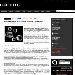Anthropomorphismes - Vincent Pasquier