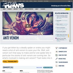 Anti Venom: 11/09/2012, Behind the News