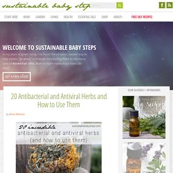 20 Antibacterial and Antiviral Herbs and How to Use Them