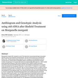 Antibiogram and Genotypic Analysis using 16S rDNA after Biofield Treatment on Morganella morganii