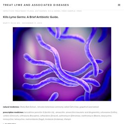Kills Lyme Germs: A Brief Antibiotic Guide. — Treat Lyme and Associated Diseases