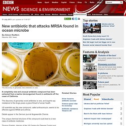 New antibiotic that attacks MRSA found in ocean microbe