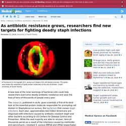 MEDICALXPRESS 21/11/18 As antibiotic resistance grows, researchers find new targets for fighting deadly staph infections