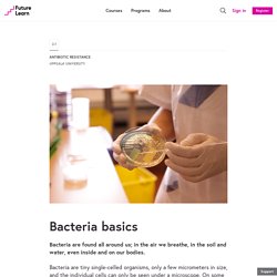 Bacteria basics - Antibiotic Resistance - Uppsala University