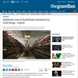Antibiotic use in food fuels resistance to vital drugs – report