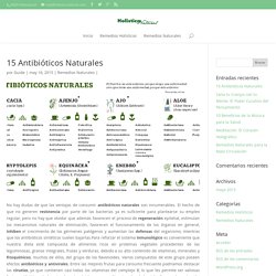 15 Antibióticos Naturales