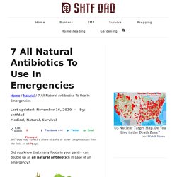 7 All Natural Antibiotics To Use In Emergencies - SHTF DAD