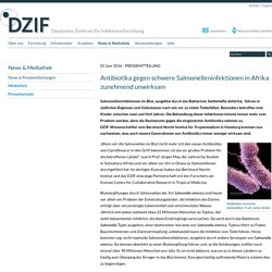 DEUTSCHES ZENTRUM FUR INFEKTIONSFORSHUNG 01/06/16 Antibiotika gegen schwere Salmonelleninfektionen in Afrika zunehmend unwirksam
