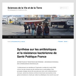 Synthèse sur les antibiotiques et la résistance bactérienne de Santé Publique France
