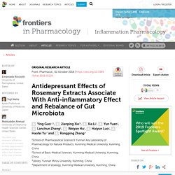Antidepressant Effects of Rosemary Extracts Associate With Anti-inflammatory Effect and Rebalance of Gut Microbiota