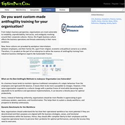 Do you want custom-made antifragility training for your organisation?