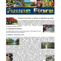 Antilles: Faune et Flore