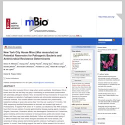 MBIO 17/04/18 New York City House Mice (Mus musculus) as Potential Reservoirs for Pathogenic Bacteria and Antimicrobial Resistance Determinants