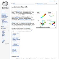 Antimicrobial peptides