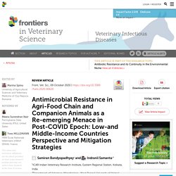 FRONT. VET. SCI. 09/10/20 Antimicrobial Resistance in Agri-Food Chain and Companion Animals as a Re-emerging Menace in Post-COVID Epoch: Low-and Middle-Income Countries Perspective and Mitigation Strategies