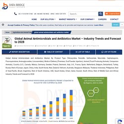 Animal Antimicrobials and Antibiotics Market – Global Industry Trends and Forecast to 2028