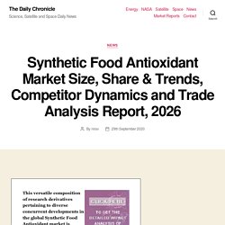 Synthetic Food Antioxidant Market Size, Share & Trends, Competitor Dynamics and Trade Analysis Report, 2026