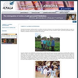 Camboya y las minas antipersonas - IEPALA - Instituto de Estudios Políticos para América Latina y África