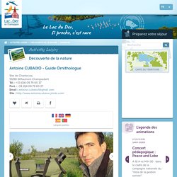 Antoine CUBAIXO - Guide Ornithologue - Lac du Der