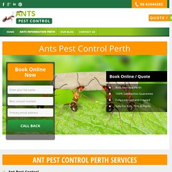 Ant Pest Control Balga