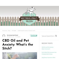 CBD Oil and Pet Anxiety: What’s the Sitch? - Best Friend Mobility Blog