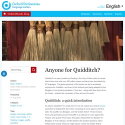 Anyone for Quidditch?