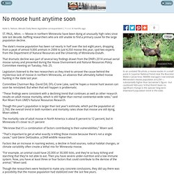 No moose hunt anytime soon - Explore - UpNorthExplorer