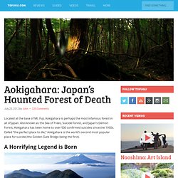 Aokigahara: Japan's Haunted Forest of Death