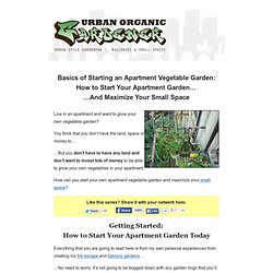 How to Start Apartment Vegetable Gardening