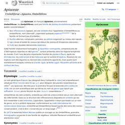 Apiaceae = famille ombélifères