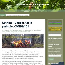Aethina Tumida: Allerta Nazionale, CONDIVIDI!