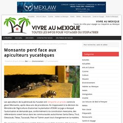 Monsanto perd face aux apiculteurs yucatèques