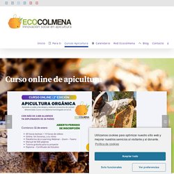 Curso de apicultura online - ecocolmena