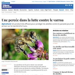 TDG 17/01/18 Une percée dans la lutte contre le varroa - Un produit très efficace pour protéger les abeilles contre le parasite pourrait arriver sur le marché d'ici 5 ans. (chlorure de lithium)