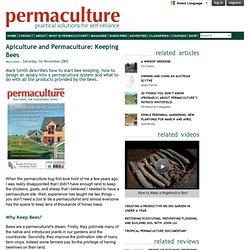 Apiculture and Permaculture: Keeping Bees