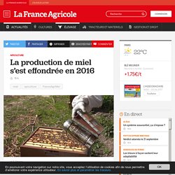 FRANCE AGRICOLE 08/06/17 La production de miel s’est effondrée en 2016