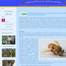 INRA : Varroa - L'Apiculture naturelle sans traitement
