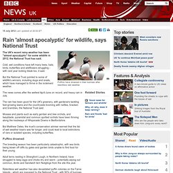 Rain 'almost apocalyptic' for wildlife, says National Trust