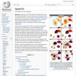 Apoptosis