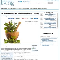 Herbal Apothecary 101: Echinacea Summer Tincture