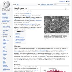 Golgi apparatus